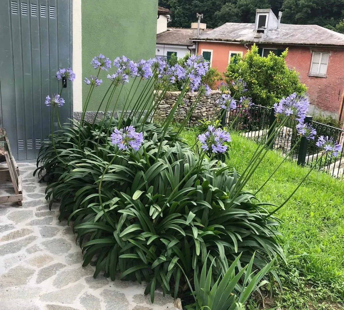 Tatil Evi La Casa Del Borgo Villa Recco